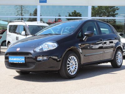 Fiat Punto 1,2 69 Easy bei HWS || Autohaus Damisch GmbH in 